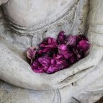 Blüten in den Händen – Symbol für Achtsamkeit, Stressbewältigung, Fürsorge und inneren Frieden